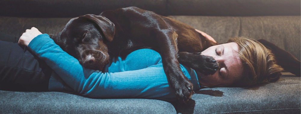 L’assurance habitation couvre-t-elle les animaux de compagnie ?